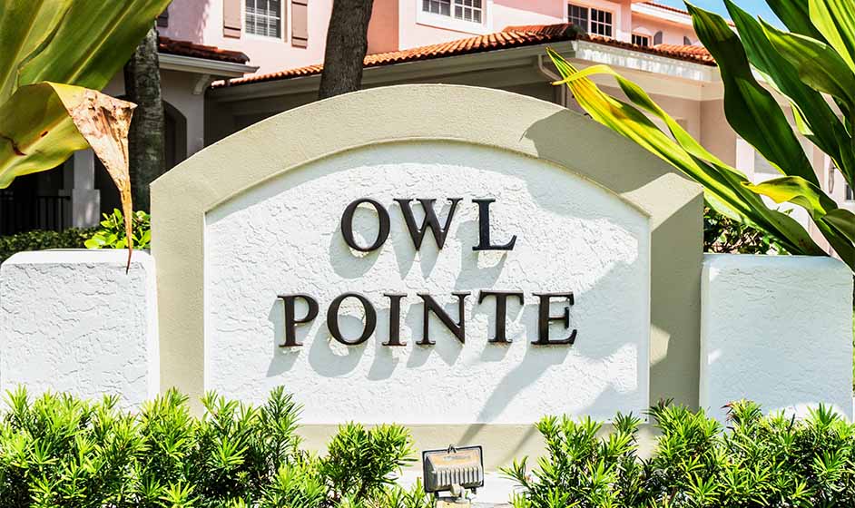 Owl Pointe