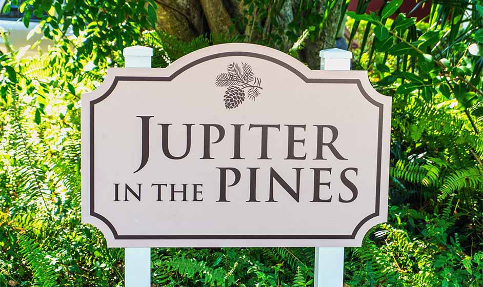 Jupiter in the Pines