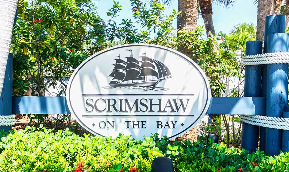 Scrimshaw on the Bay