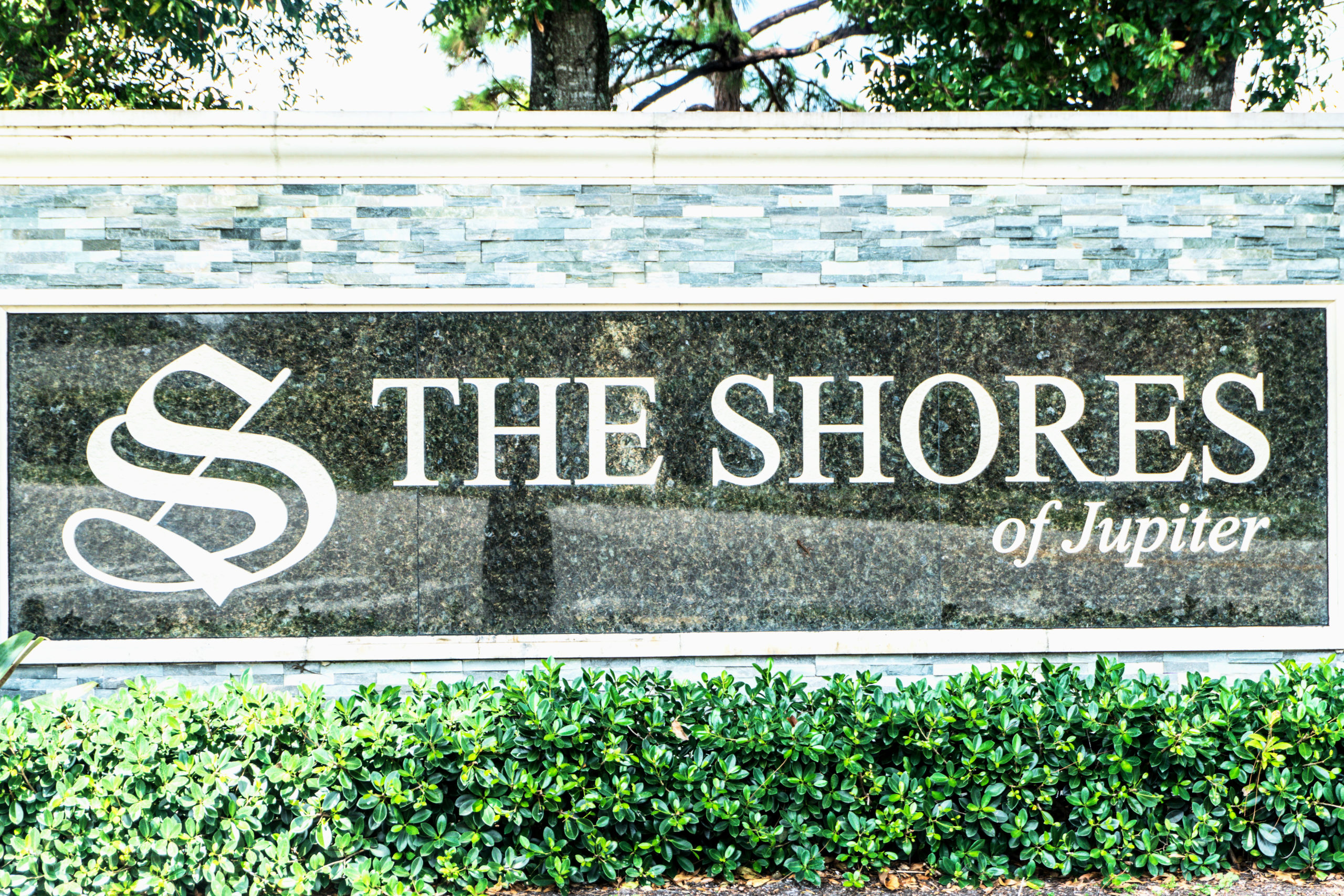 The Shores Condos For Rent